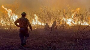 Incendio forestal en Chovoreca se reactiva y avanza con rapidez