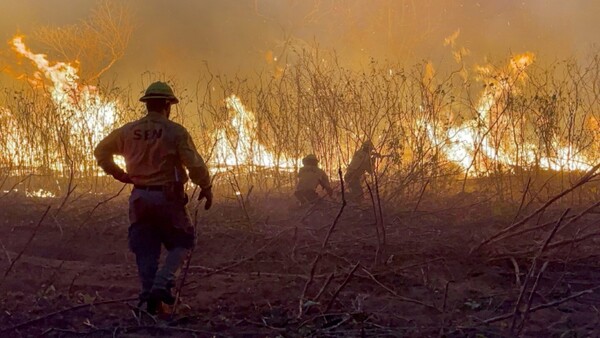 Incendio forestal en Chovoreca se reactiva y avanza con rapidez