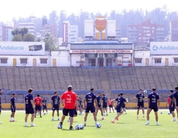 La Albirroja enfrenta a Ecuador por la fecha 9 del Clasificatorio Sudamericano - ADN Digital