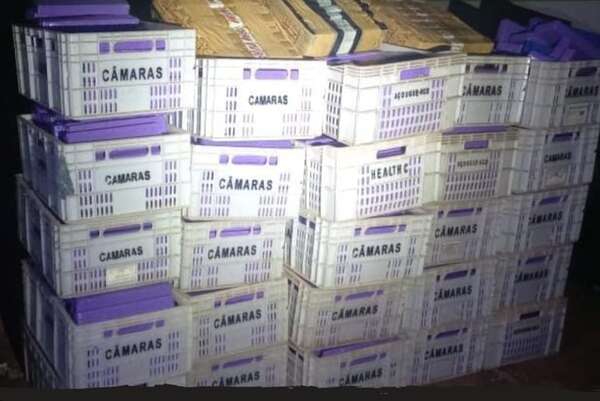 Incautan cerca de una tonelada de marihuana en Ponta Porã - Policiales - ABC Color