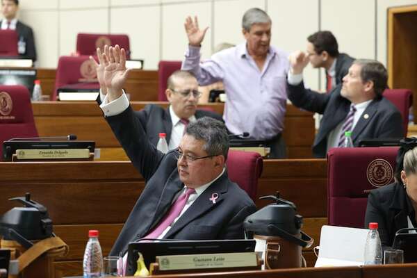 El Senado da aumento a la Corte Suprema y posterga eliminar la Senac - Política - ABC Color