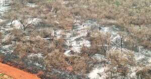 Diario HOY | Lluvias llegan al Chaco y sofocan incendios en zona de Chovoreca