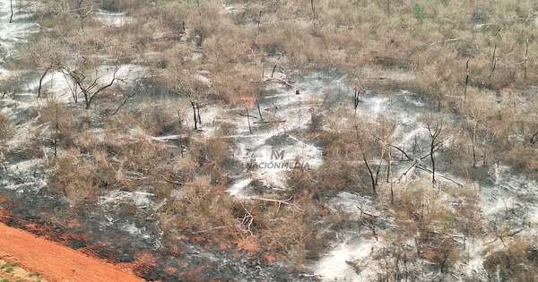 Diario HOY | Lluvias llegan al Chaco y sofocan incendios en zona de Chovoreca