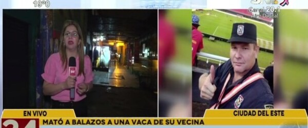 Suboficial denunciado por asesinar a una vaca de su vecina - SNT