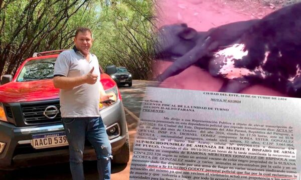 Suboficial policial denunciado por amenaza de muerte y por disparar contra una vaca – Diario TNPRESS