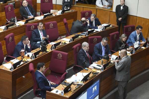 Ley anti-ONG es “políticamente perversa” y cartistas actúan de mala fe, advierte constitucionalista - Política - ABC Color