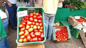 Ofertan productos de la finca familiar sin intermediarios en San Lorenzo - .::Agencia IP::.
