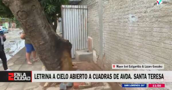 Diario HOY | Insólito: construyeron una letrina a cielo abierto