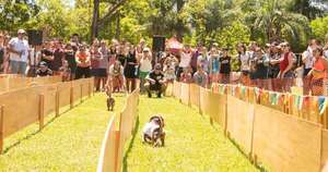 La Nación / 4Pets y Teckel Paraguay presentan el Teckel Run 2024