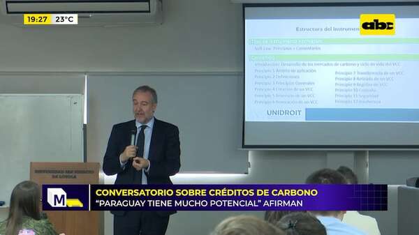 Conversatorio sobre créditos del carbono: destacan el potencial de Paraguay - Mundo empresarial - ABC Color