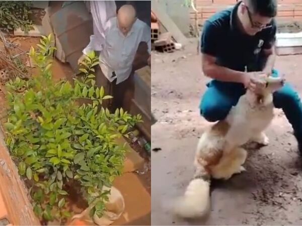 (VIDEO). Tuja infeliz es captado golpeando a su perrito