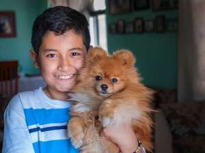 ¿Quéres un cachorrito? Cinco formas de convencer a tus papás de que te dejen tenerlo - Mascotas - ABC Color
