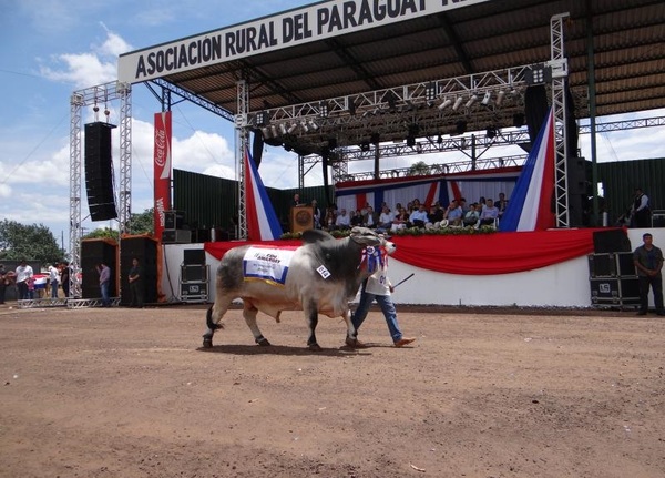Para las 10:00 hs. está prevista la inauguración de la Expo Amambay 2024