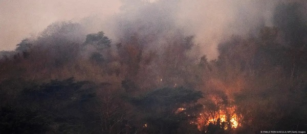 Incendios en Brasil aceleran la deforestación de la Amazonía - ADN Digital