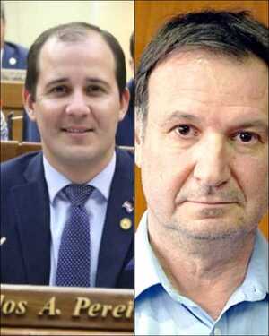 Diputado Carlos Pereira crítica a consejero de IPS y pide su renuncia
