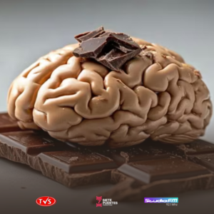 EL CHOCOLATE COMO ALIADO NEUROPROTECTOR: BENEFICIOS DEL CACAO EN LA SALUD CEREBRAL Y EMOCIONAL - TVS