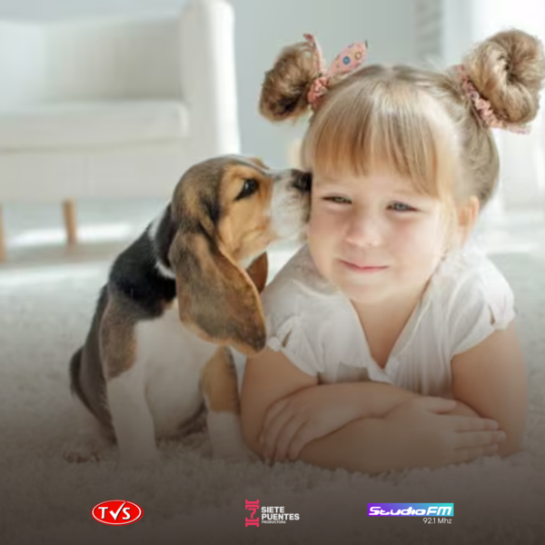 LA RELACIÓN ENTRE NIÑOS Y PERROS: MÁS PROFUNDA DE LO QUE PARECE - TVS