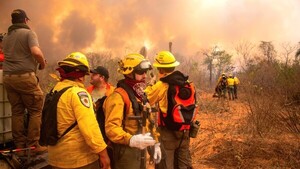 Más de 450.000 hectáreas afectadas por incendios forestales entre setiembre y lo que va de octubre