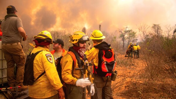 Más de 450.000 hectáreas afectadas por incendios forestales entre setiembre y lo que va de octubre