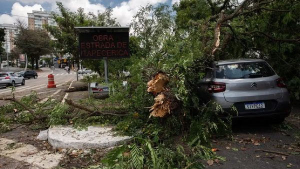 Siete personas murieron por un temporal con ráfagas de viento récord en São Paulo