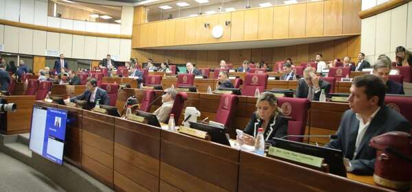 ¿Cuánto cuesta crear una ONG en Paraguay? requisitos y financiamiento