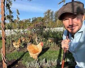¡Mirá a David Beckham y su “vida de campo” rodeado de gallinas, perros y abejas! - Gente - ABC Color