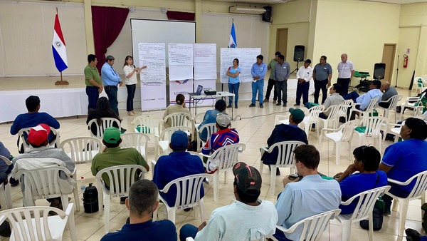 Actualización del Plan Agrícola en Boquerón: Identificando desafíos y oportunidades para la producción