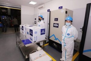 Crecen en un 19% las importaciones bajo el régimen de materia prima - El Trueno