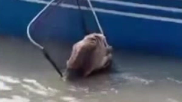 Karaja fue rescatado cuando estaba a punto de ahogarse en un río - SNT