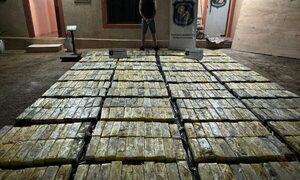 Imputan a presunto responsable de cargamento de 2.000 kilos de marihuana incautado de un depósito – Diario TNPRESS