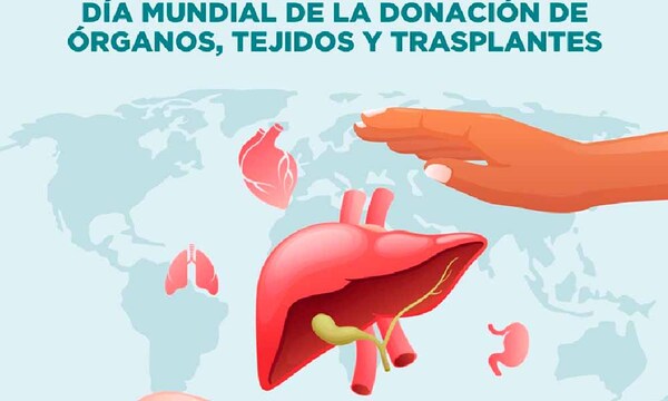Día Mundial de la Donación de Órganos: desafío sigue siendo la falta de donantes – Prensa 5