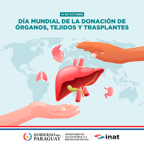 Un llamado a la sociedad para salvar vidas • PARAGUAY TV