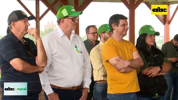Rally de la Canola: un recorrido cargado de conocimiento y potencial agronómico - ABC TV - ABC Color
