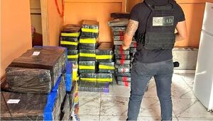 LA SENAD INCAUTA MAS DE TRES TONELADAS DE MARIHUANA DE LA ESTRUCTURA DE “MACHO” - Itapúa Noticias