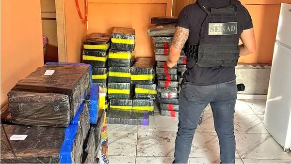 LA SENAD INCAUTA MAS DE TRES TONELADAS DE MARIHUANA DE LA ESTRUCTURA DE “MACHO” - Itapúa Noticias