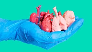 Día Mundial de Donación de Órganos: Paraguay cuenta con 250 pacientes en lista de espera