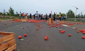 Caaguazú: Ante contrabando de tomates y derrumbe de precios, productores cierran la ruta PY02 – Prensa 5