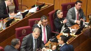 Oenegés advierten que ley garrote amenaza la participación y el pluralismo en democracia