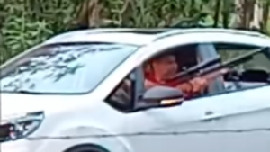 Conductor furioso apuntó con rifle a animales y asustó a varios en Villeta