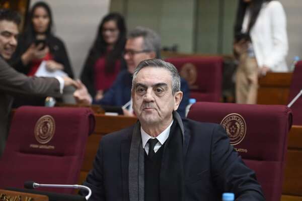Senado define qué hacer con los “perros peligrosos” - Política - ABC Color