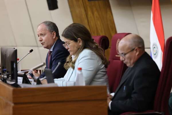 PGN 2025: Deuda pública en casi 40% del PIB no preocupa dice MEF - Economía - ABC Color