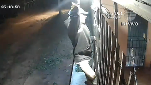 Barrio de Ypané está a oscuras ante permanente robo de focos por parte de adictos
