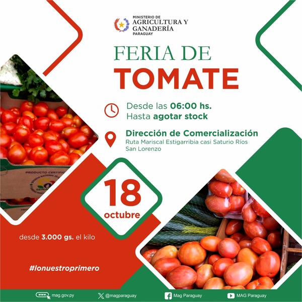 Feria de tomates con precios desde Gs. 3.000 • PARAGUAY TV