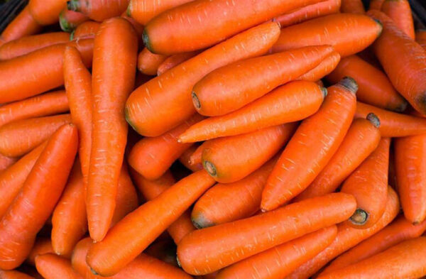 Paraguay concreta primera exportación de zanahorias al mercado argentino