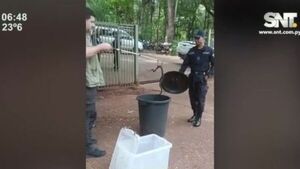 Rescatan a serpiente suelta en el microcentro de Ciudad del Este - SNT
