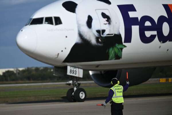 Los “embajadores panda” de China llegan a EE.UU. - Ciencia - ABC Color
