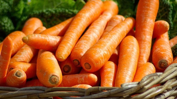 Por primera vez, Paraguay exporta zanahorias a Argentina - ADN Digital