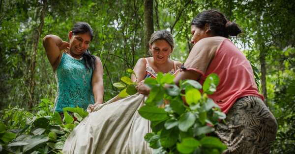 La Nación / Día internacional de las mujeres rurales: ocupan 45 % de la cartera del CAH