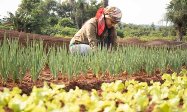 Paraguay conmemora el Día Internacional de las Mujeres Rurales: un homenaje a su contribución y resiliencia – Prensa 5