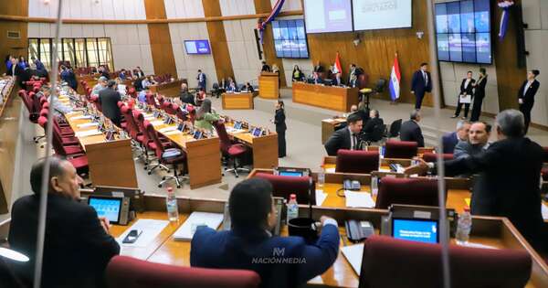La Nación / Anexo C: Diputados designa a integrantes de la Comisión Nacional